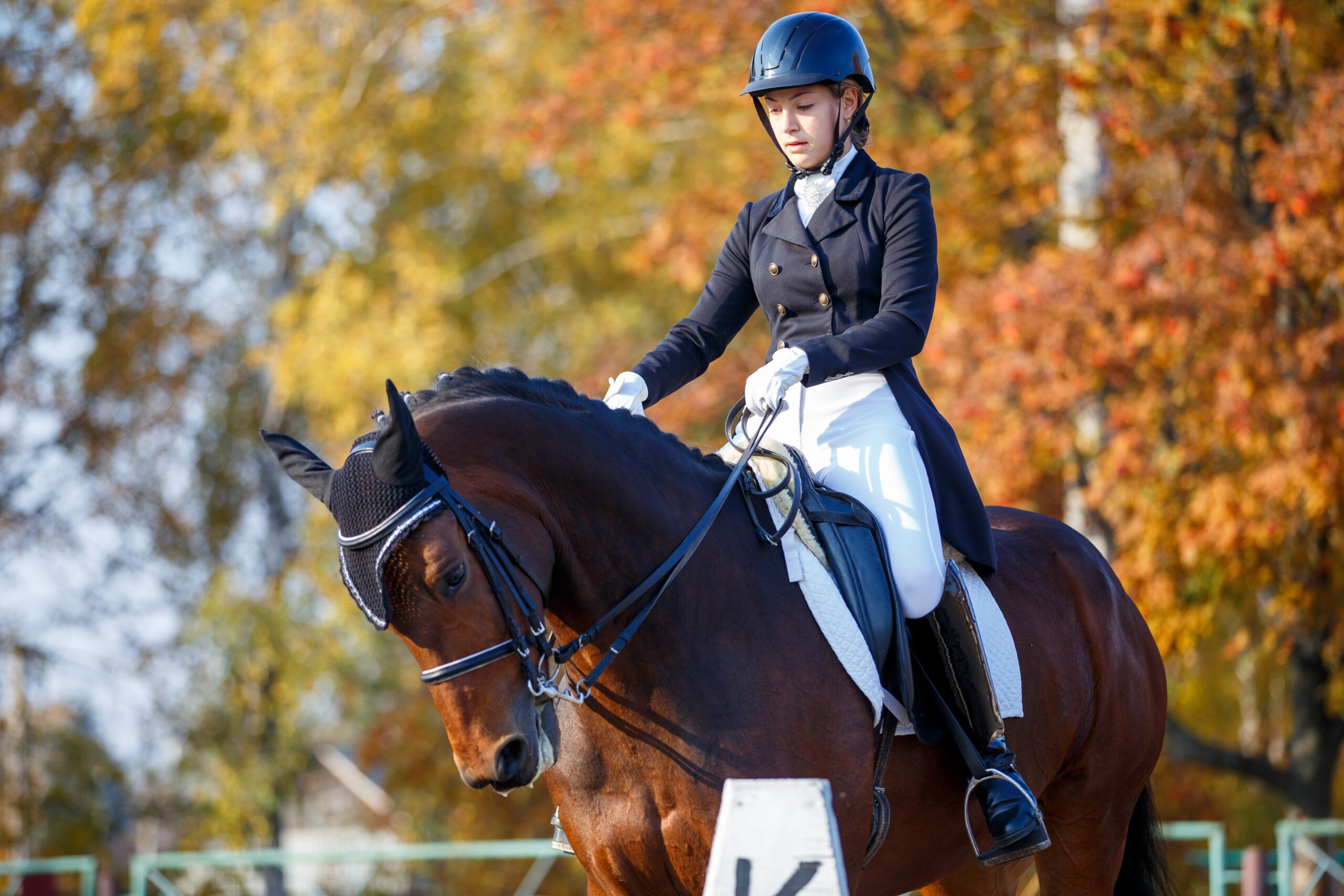 Mujer adolescente montando a caballo top