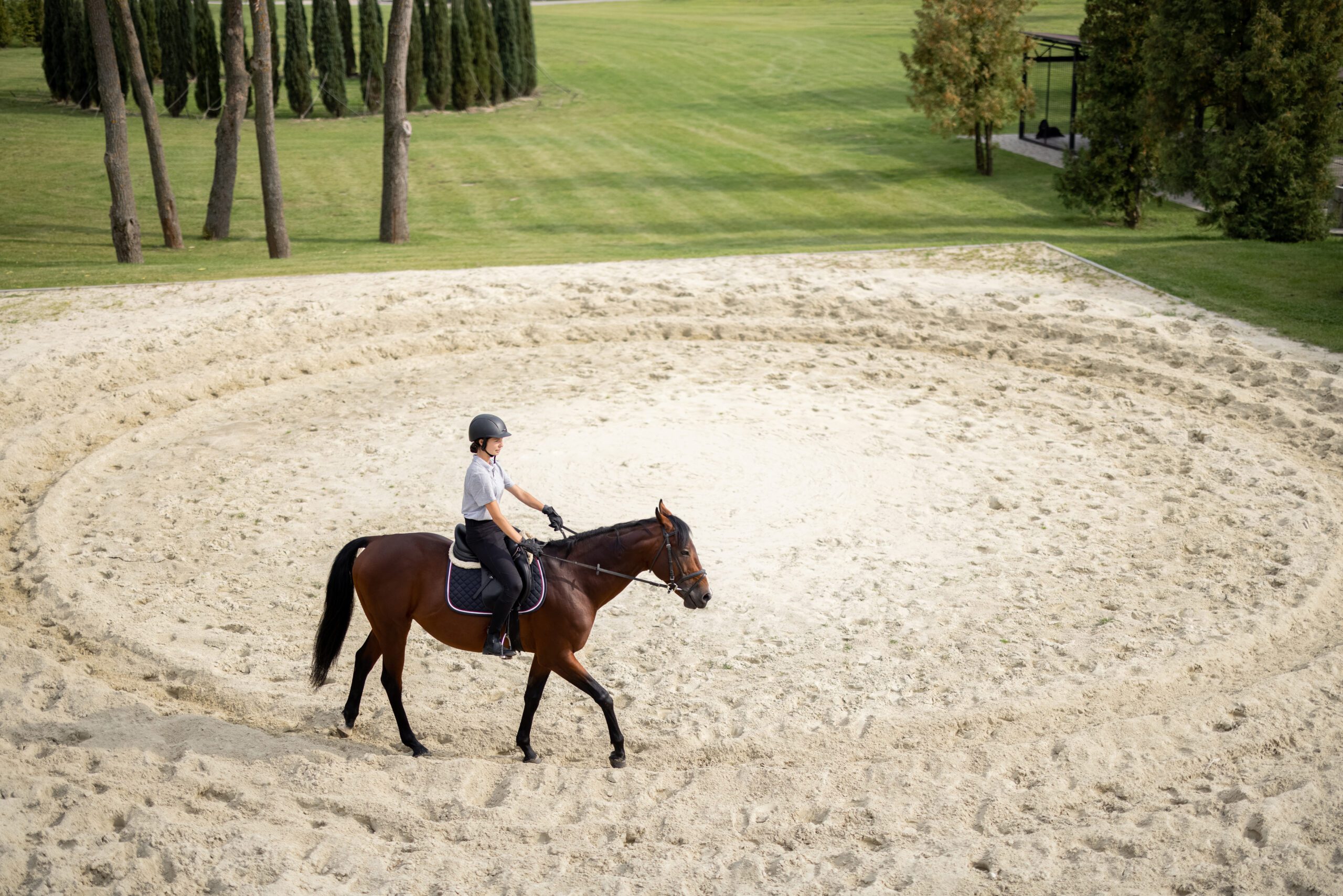 Mujer joven montada a caballo en la arena